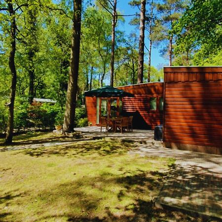 Wooden Nature Chalet - Dennenrhode Doornspijk别墅 外观 照片