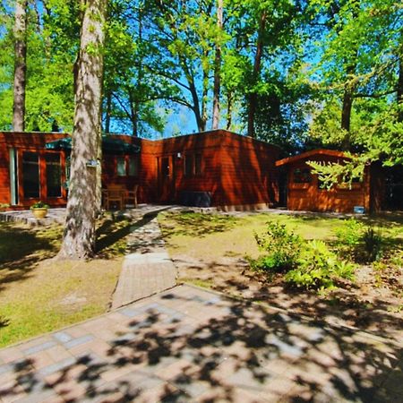 Wooden Nature Chalet - Dennenrhode Doornspijk别墅 外观 照片