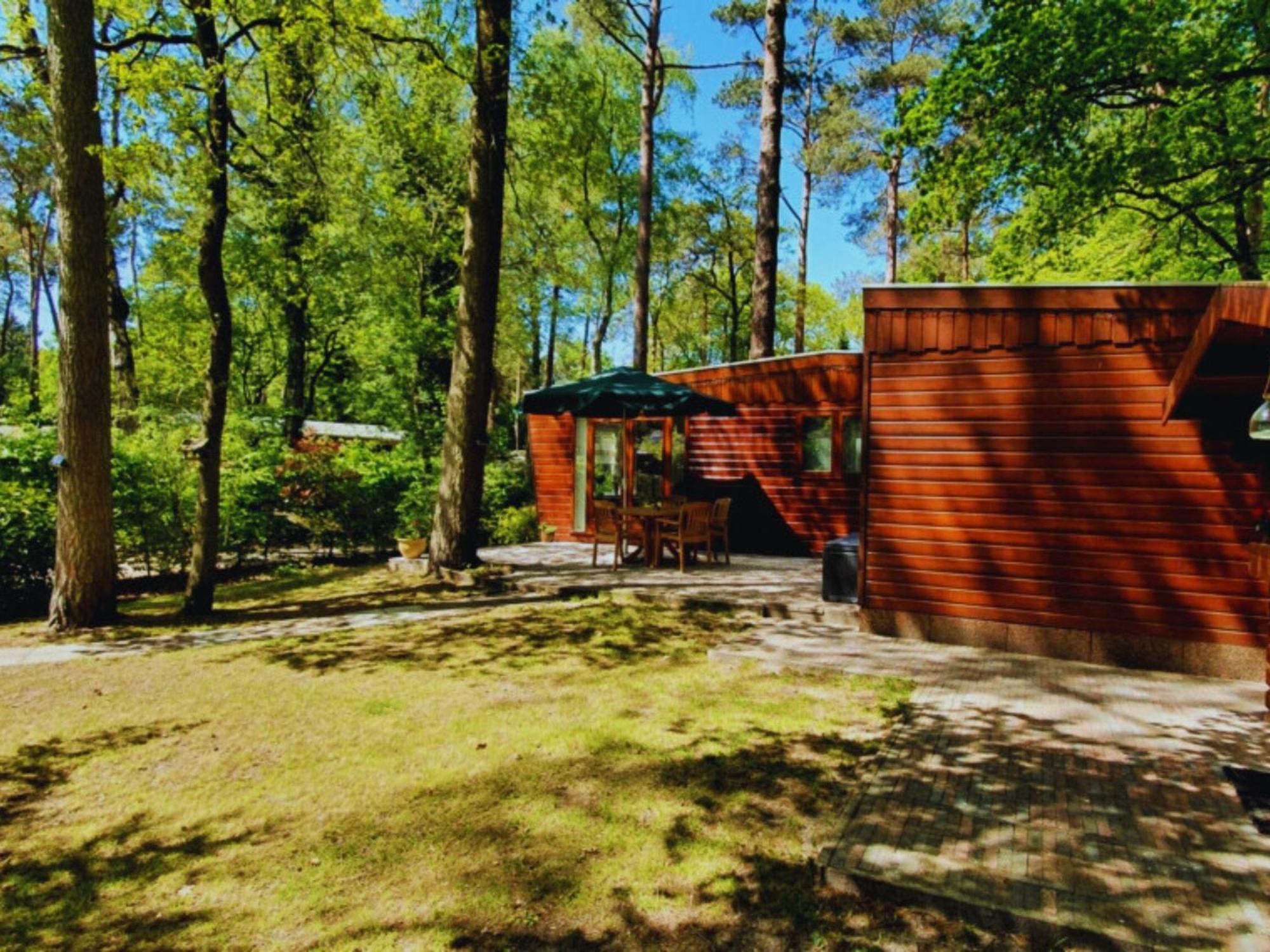 Wooden Nature Chalet - Dennenrhode Doornspijk别墅 外观 照片
