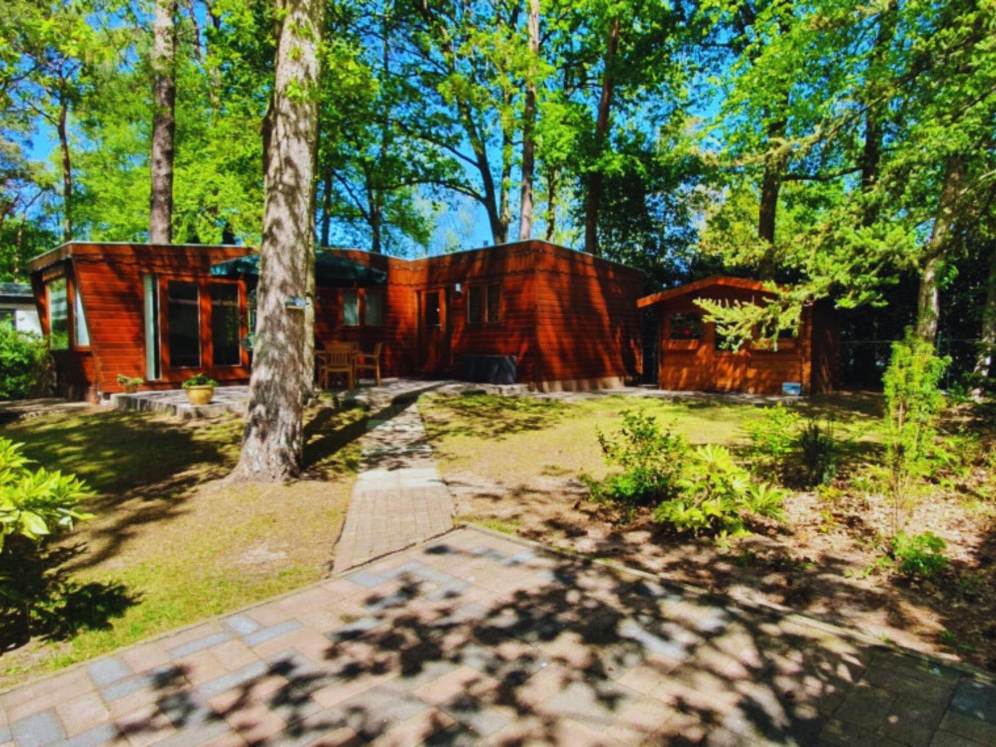 Wooden Nature Chalet - Dennenrhode Doornspijk别墅 外观 照片